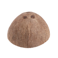 Cueva de coco natural para reptiles, tarántulas y pequeñas mascotas