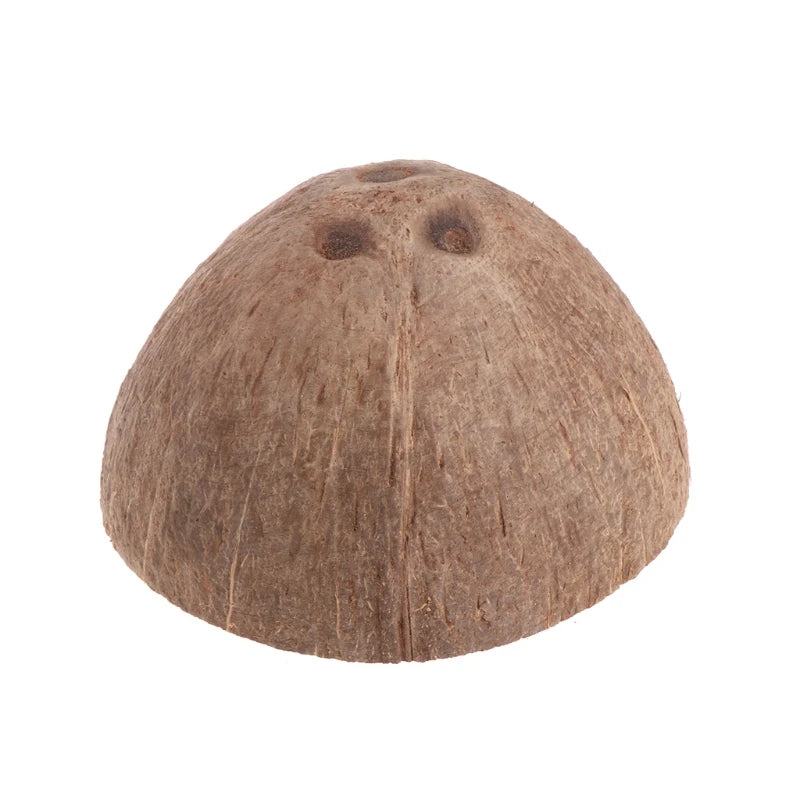 Cueva de coco natural para reptiles, tarántulas y pequeñas mascotas