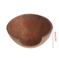 Cueva de coco natural para reptiles, tarántulas y pequeñas mascotas