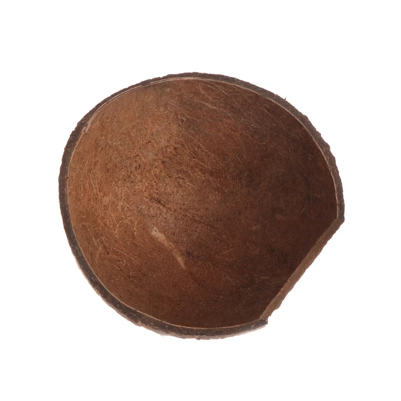 Cueva de coco natural para reptiles, tarántulas y pequeñas mascotas