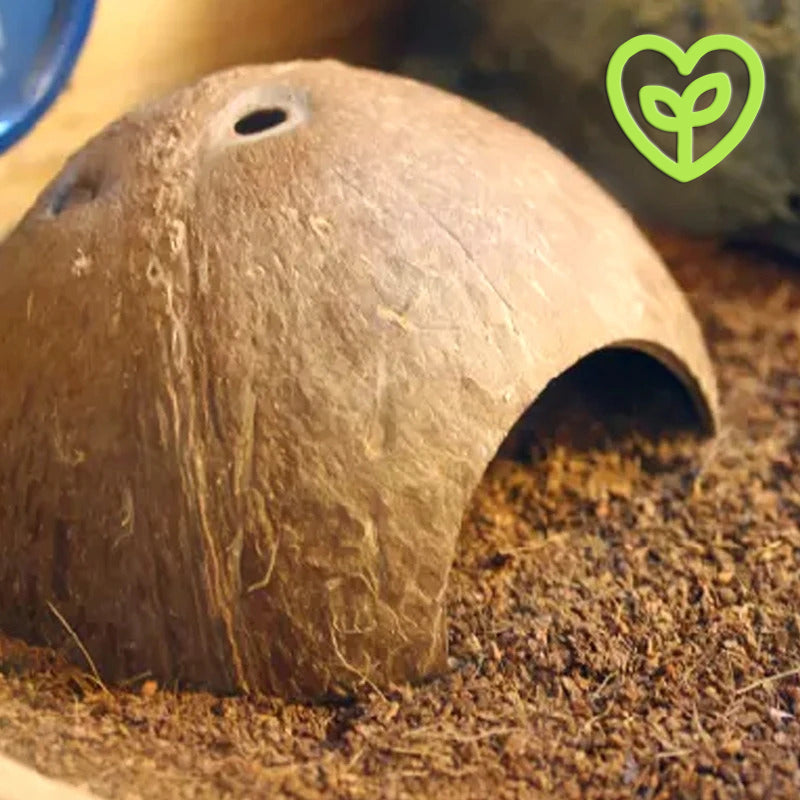Cueva de coco natural para reptiles, tarántulas y pequeñas mascotas