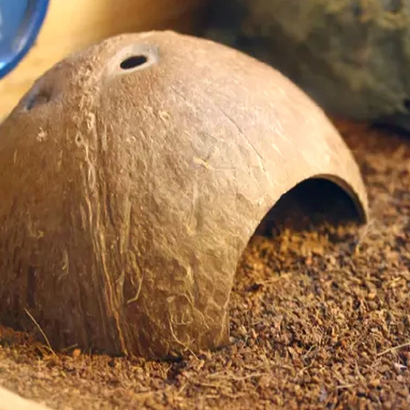 Cueva de coco natural para reptiles, tarántulas y pequeñas mascotas