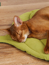 Colchón para perros y gatos