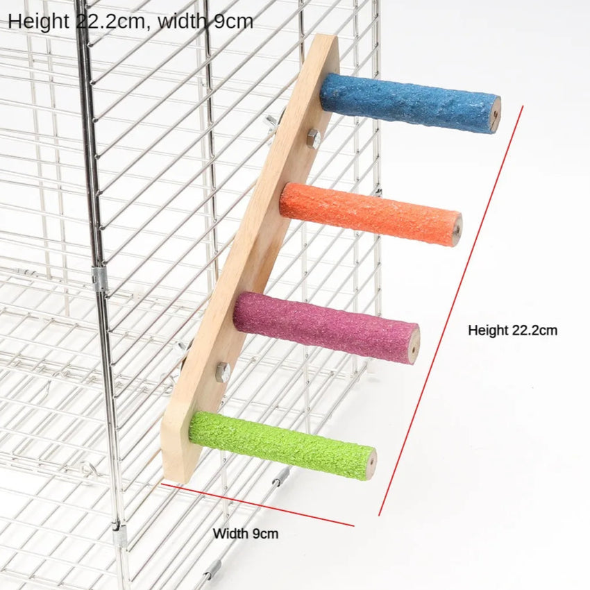 Escalera interactiva de madera para aves
