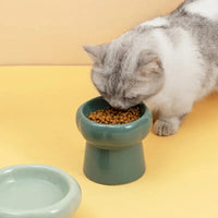 Cuenco de cerámica de pie alto para gatos y perros