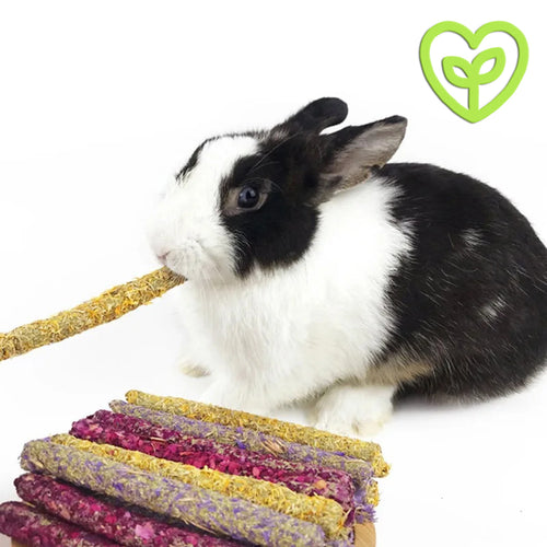 Juguetes molares de flores naturales para roedores