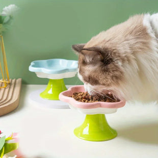 Cuenco elevado de cerámica para gatos