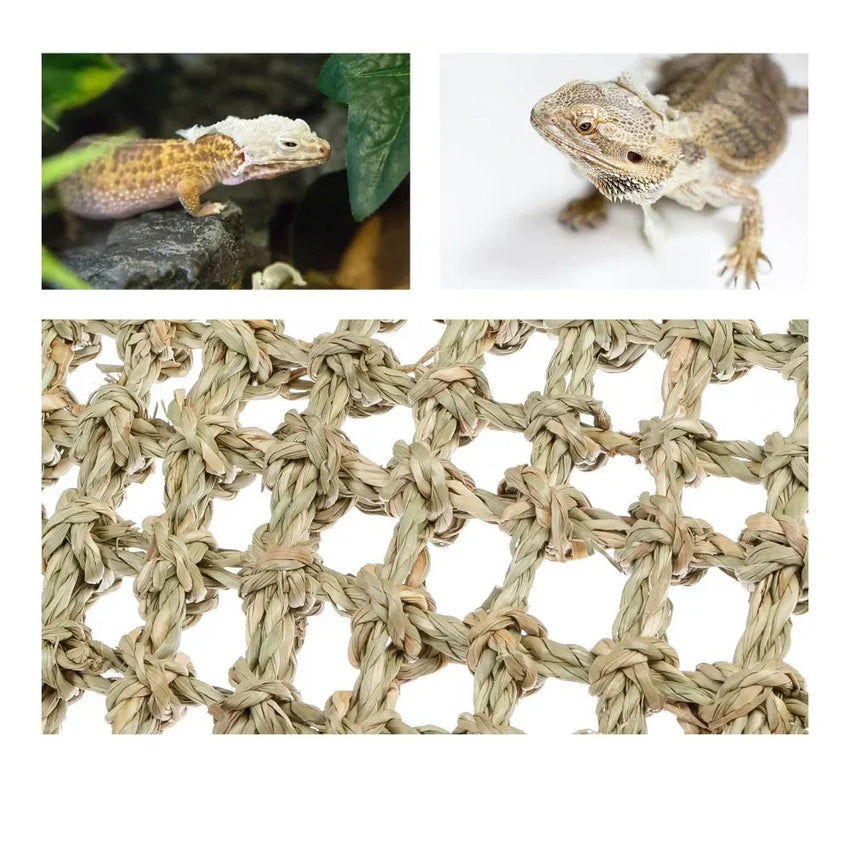 Hamaca de algas marinas para reptiles y pequeñas mascotas