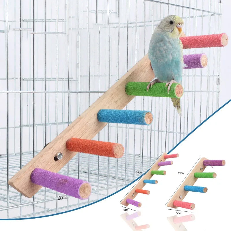 Escalera interactiva de madera para aves