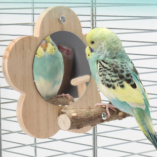 Percha de madera con espejo para aves