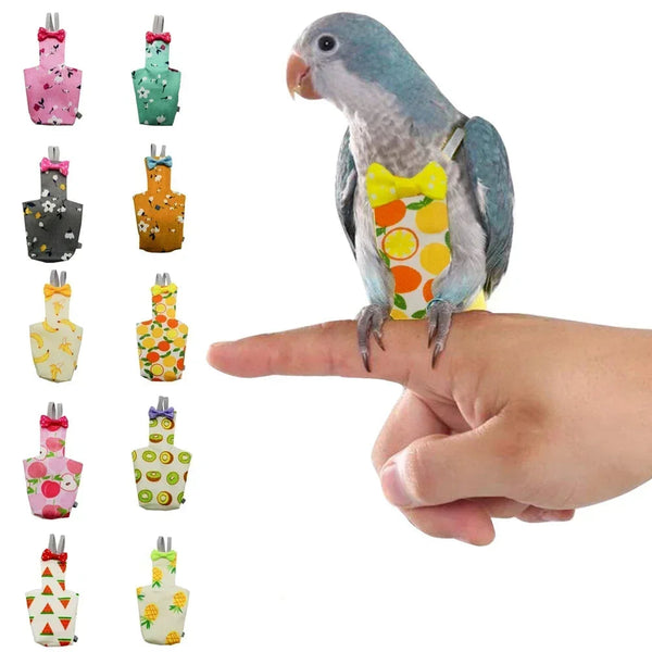 Accesorios para ave