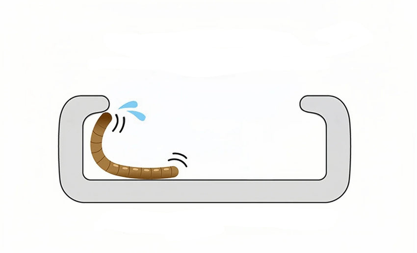 Cuenco de cerámica antiescape para reptiles