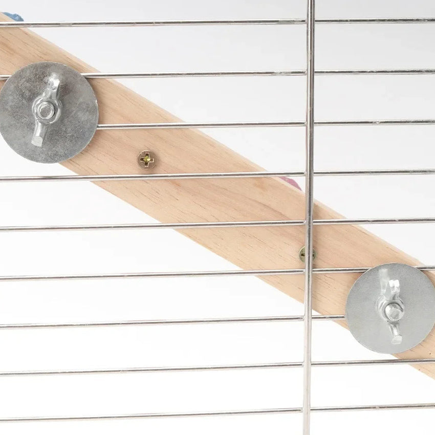 Escalera interactiva de madera para aves