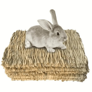 Estera de hierba natural para mascotas pequeñas