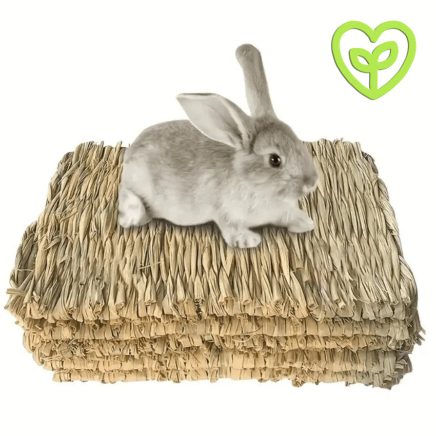 Estera de hierba natural para mascotas pequeñas