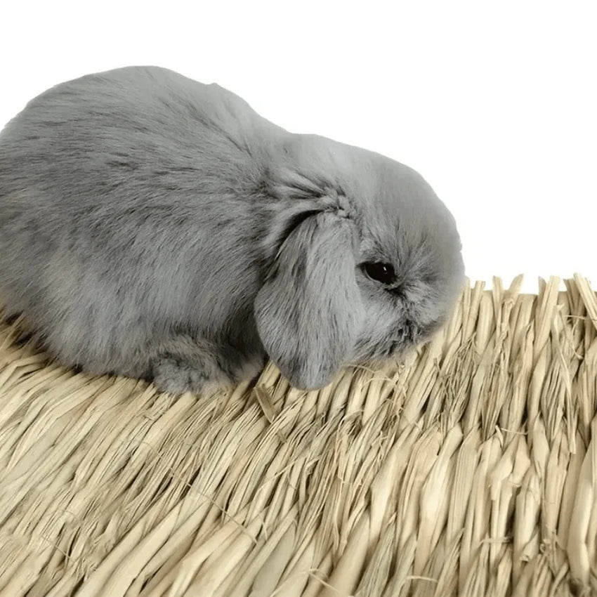 Estera de hierba natural para mascotas pequeñas