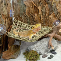 Hamaca de algas marinas para reptiles y pequeñas mascotas